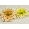 Prima - Fiesta Collection - Layered Paper Flower Embellishments - Citrus Zest, CLEARANCE