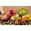 Prima - Cloissone Collection - Lacquer Style Flower Embellishments - Bronze, CLEARANCE