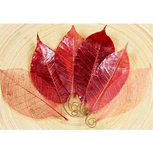 Prima - Temple Collection - Lacquered Leaves - Dang Red, CLEARANCE