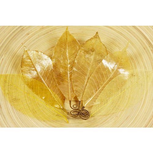Prima - Temple Collection - Lacquered Leaves - Thong Gold, CLEARANCE