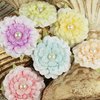 Prima - Ameruse Collection - Flower Embellishments - Pastel Perle Mix, CLEARANCE