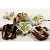 Prima - Pastiche Collection - Flower Embellishments - Mix 1, CLEARANCE