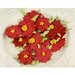 Prima - Holiday Celebration Collection - Flower Embellishments - Poinsettia