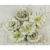 Prima - Orchard Mix Collection - Flower Embellishments - Dewdrop, CLEARANCE