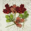 Prima - Antique Mistletoe Collection - Jeweled Embellishments - Traditional