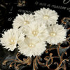 Prima - Innocence 2 Collection - Flower Embellishments - Mix 6, CLEARANCE