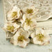 Prima - Eminence Collection - Flower Embellishments - Mix 2