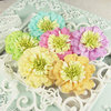 Prima - Petticoat Collection -  Flower Embellishments - Bon Bon