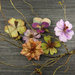 Prima - Bella Notte Collection - Flower Embellishments - Pinehurst
