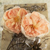 Prima - Parfait Collection - Fabric Flower Embellishments - Peach