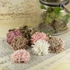 Prima - Powder Puffs Collection - Fabric Flower Embellishments - Beth