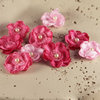 Prima - Bristo Blooms Collection - Fabric Flower Embellishments - Ruby