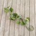 Prima - Button Vine Collection - Flower Embellishments - Fairy Belle