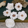 Prima - Tivona Collection - Flower Embellishments - Large - Frost Mix