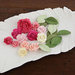 Prima - Laraine Collection - Flower Embellishments - Sorbet
