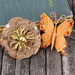 Prima - Soiree Collection - Butterfly and Flower Embellishments - Copper