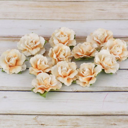 Prima - Encore Collection - Paper Flower Embellishments - Ivory