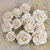 Prima - Interlude Collection - Flower Embellishments - White