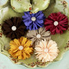 Prima - Cabaletta Collection - Fabric Flower Embellishments - Fall