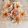 Prima - Bel Canto Collection - Flower Embellishments - Cream