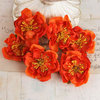 Prima - Bel Canto Collection - Flower Embellishments - Orange