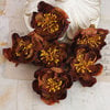 Prima - Bel Canto Collection - Flower Embellishments - Brown