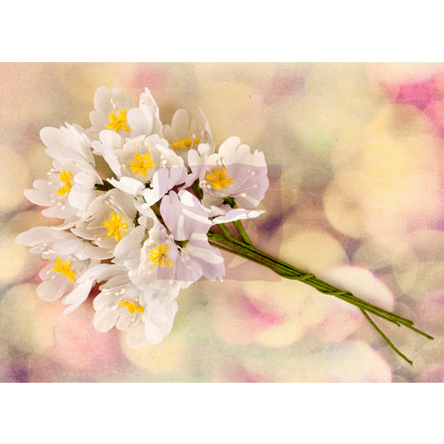 Prima - Hello Pastel Collection - Flower Embellishments - White