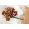Prima - Lifetime Collection - Flower Embellishments - Brown
