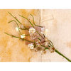 Prima - Engraver Collection - Flower Embellishments - Solid Flower Vine - Natural
