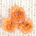 Prima - Divine Collection - Fabric Flower Embellishments - Peach