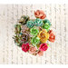 Prima - Divine Collection - Flower Embellishments - Mini Rose Stems