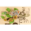 Prima - Lady Bird Collection - Flower Embellishments - Vines