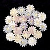 Prima - Frost Collection - Flower Embellishments - Canson I