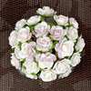 Prima - Mini Sachet Collection - Flower Embellishments - Pearl