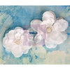 Prima - Odette Collection - Flower Embellishments - White