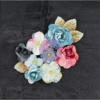 Prima - Stationers Desk Collection - Flower Embellishments - Draft