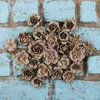 Prima - Rodanthe Collection - Flower Embellishments - Sandbank