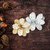 Prima - Bethleham Collection - Flower Embellishments - Yuletide
