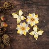 Prima - Bethleham Collection - Flower Embellishments - Joyful