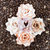 Prima - Kindled Collection - Flower Embellishments - Sienna
