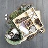 Prima - Salvage District Collection - Wood Embellishments - Icons