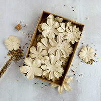 Prima - Flower Embellishments - Box - Rodanthe II