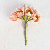 Prima - Flower Bundles Embellishments - Peach
