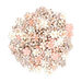Prima - Cherry Blossom Collection - Flower Embellishments - Braylinne