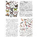 Re-Design - Transfer - Parisian Butterflies