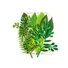 Prima - Leaf Embellishments - Evergreen
