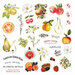 Prima - Fruit Paradise Collection - Ephemera with Stickers and Foil Accents