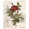 Re-Design - Furniture Transfers - Botanical Rose