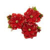 Prima - Christmas in the Country Collection - Flower Embellishments - 25th