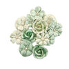 Prima - Apricot Honey Collection - Flower Embellishments - Minty Basil